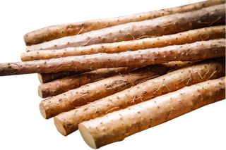 铁棍山药蔬菜素材免扣