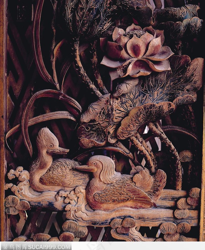 传统文化-荷花下的鸳鸯