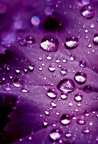 竖屏手机最美壁纸背景素材