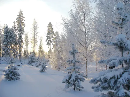 雪天高清自然风景图 雪天高清自然风景图