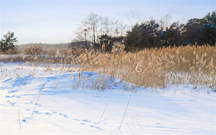 冬天雪景脚印图