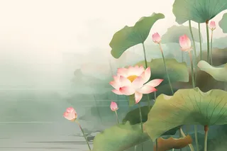 意境国潮荷花简约淡雅背景
