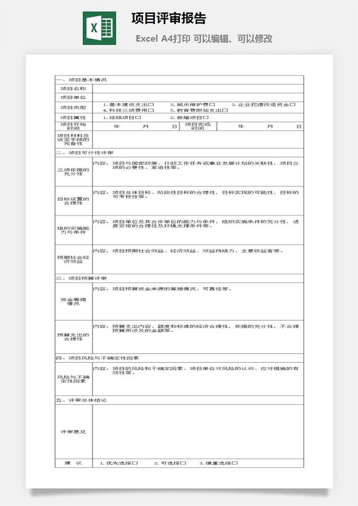 项目评审报告excel模板