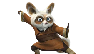 狐狸功夫熊猫卡通人物