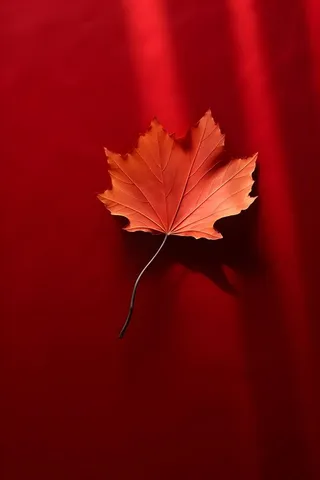 红色秋叶大气背景