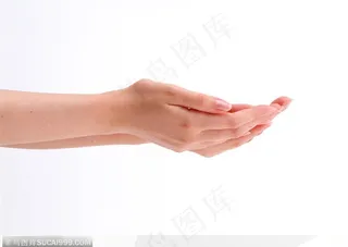 手的表情-双手接物侧面图