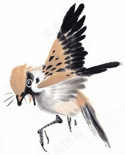 国画鸟设计素材