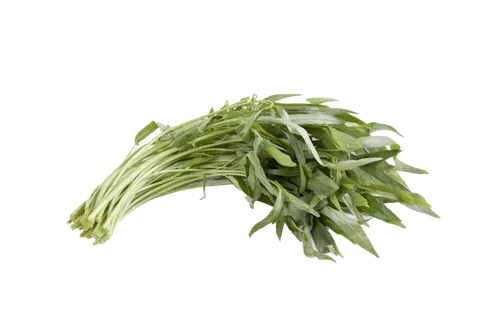 小洋洋素材 (27)超市商品白底图免抠实物摄影png格式图片透明底