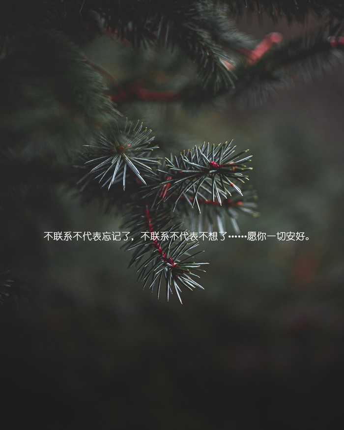 愿一切安好说说图片