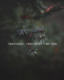 愿一切安好说说图片