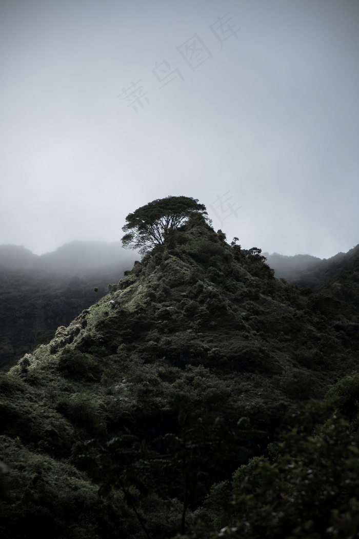 绿色山峦风景图片