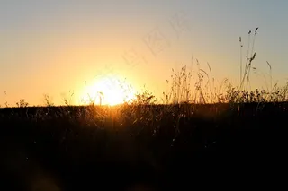 夕阳光辉图片