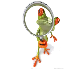 青蛙查找野生动物卡通少儿兴趣班