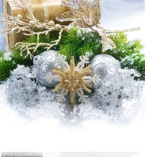 漂亮的圣诞设计