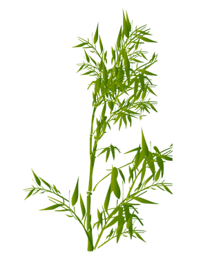 竹子水墨画中国风国画墨水书法竹子画