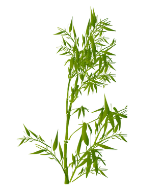 竹子水墨画中国风国画墨水书法竹子画