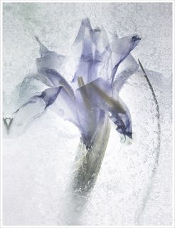 装饰画|客厅|海报画|电表箱装饰画|挂画