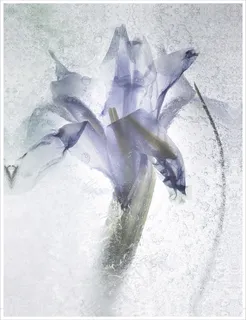 装饰画|客厅|海报画|电表箱装饰画|挂画 装饰画|客厅|海报画|电表箱装饰画|挂画