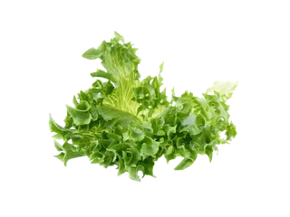 生菜 (33)超市商品白底图免抠实物摄影png格式图片透明底