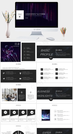 高端商务简约产品介绍通用模板预览图
