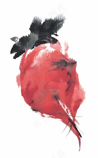 瓜果蔬菜鱼虾蟹工笔摄影图片