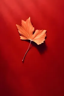 红色秋叶大气背景