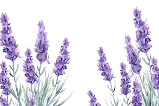 紫色花束植物插画免抠