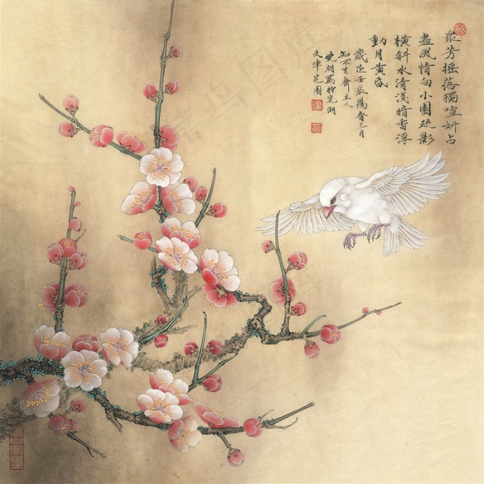 梅花小鸟国画
