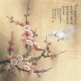 梅花小鸟国画