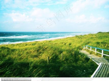 蓝天白云下的绿色草地大海夏日光