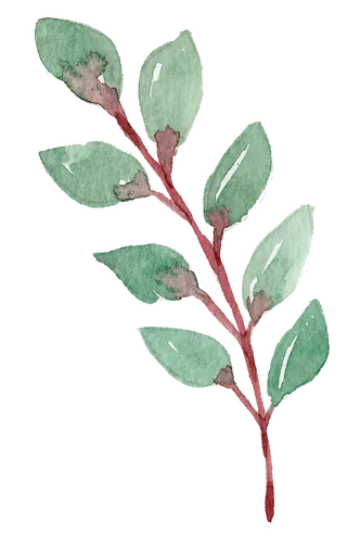 唯美森系手绘水彩花朵 免抠