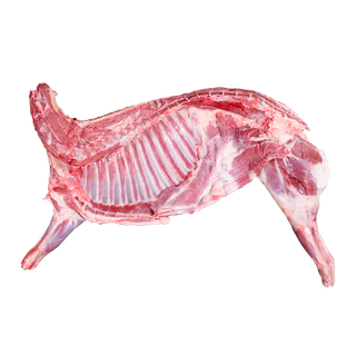 鹌鹑蛋 (超市商品白底图免抠实物摄影png格式图片透明底004