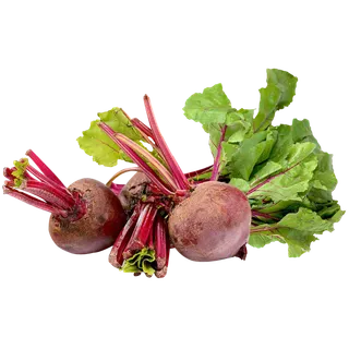 蔬菜萝卜绿叶菜