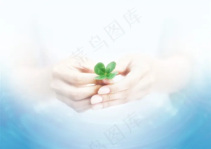 手捧绿芽素材图片