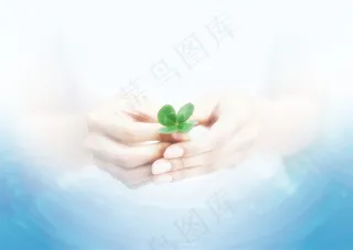 手捧绿芽素材图片