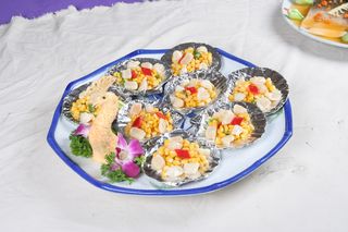 25孔雀扇贝 定州江苏