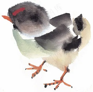 野生动物系列摄影图片