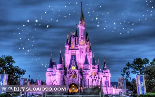 梦幻美国迪斯尼乐园夜景图片