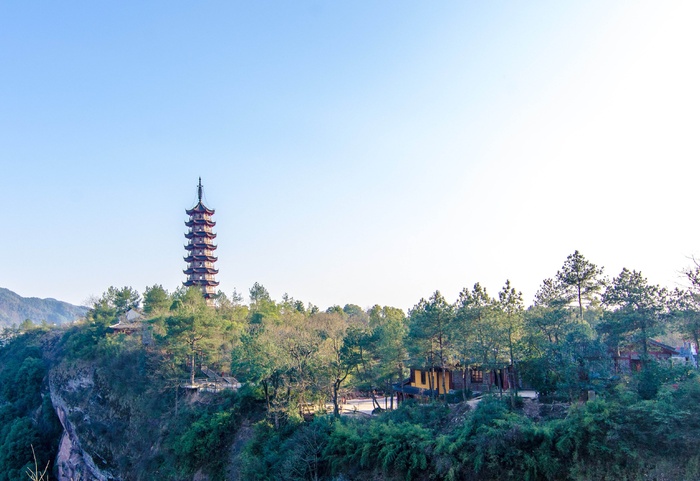 风景名胜 森林 森林风景 花草树木