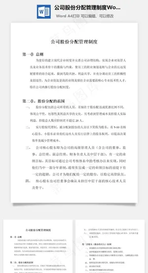 公司股份分配管理制度Word文档