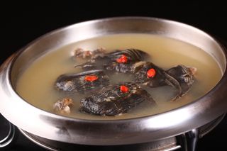 滋补甲鱼 (1)