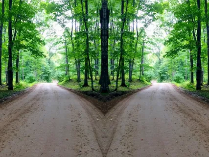 丛林山岔路图片