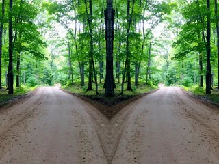 丛林山岔路图片