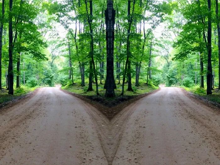 丛林山岔路图片 丛林山岔路图片
