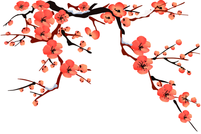 梅花免扣png