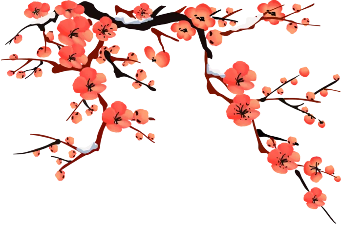 梅花免扣png