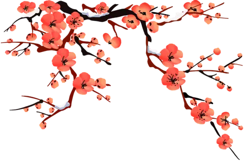 梅花免扣png
