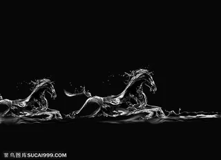 奔跑的马水花高清图片