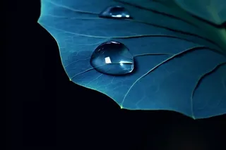 蓝色荷叶意境水珠背景