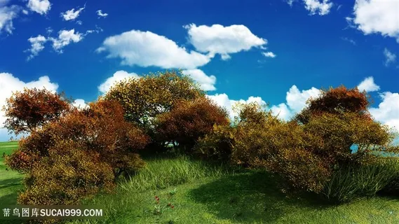 蓝天白云草地风景画壁纸 蓝天白云草地风景画壁纸